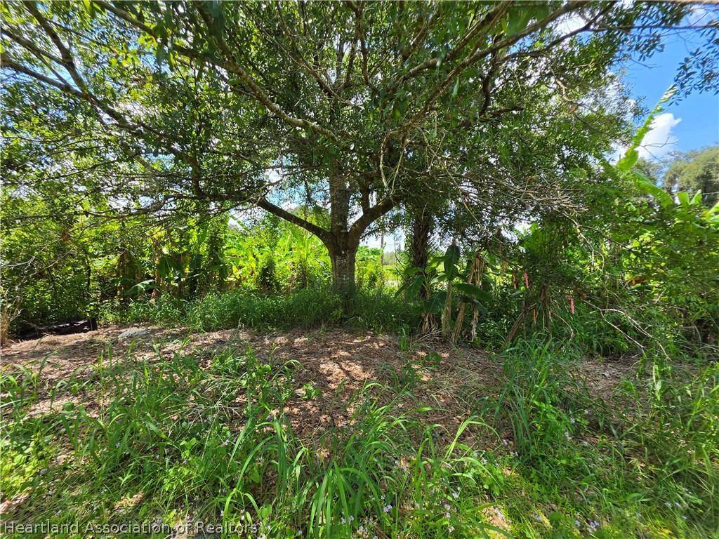 0 West St Road Wauchula, FL 33873 - Photo 23 of 24