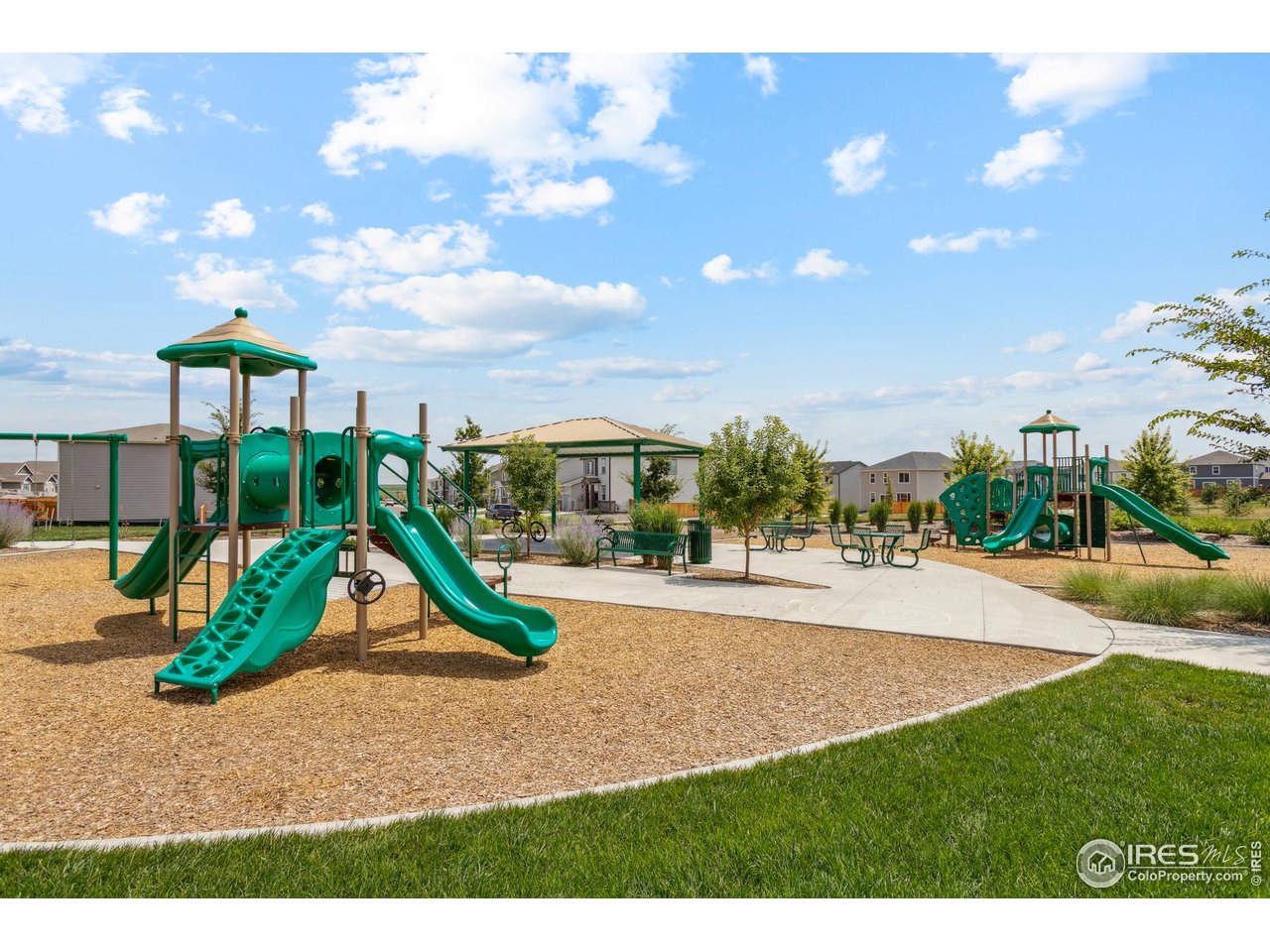 952 Cascade Falls Street Severance, CO 80550 - Photo 20 of 32