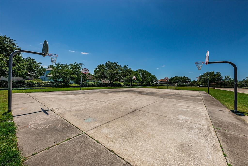 1821 Alvara Place Trinity, FL 34655 - Photo 56 of 63
