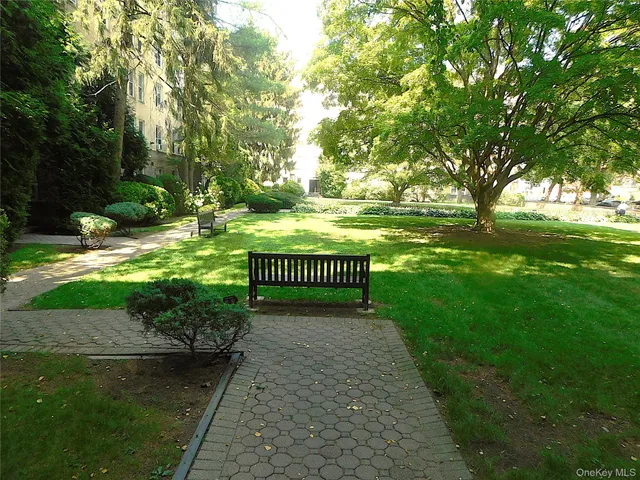 a view of a park with large trees