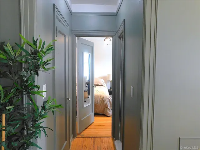 a view of a hallway with potted plants