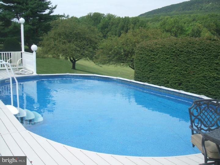 309 Blue Rocks Road Lenhartsville, PA 19534 - Photo 17 of 24 Pool