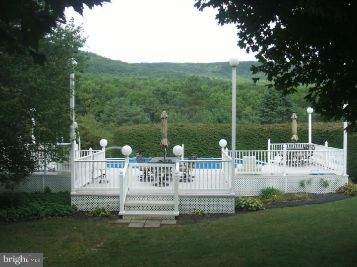 309 Blue Rocks Road Lenhartsville, PA 19534 - Photo 18 of 24 Pool