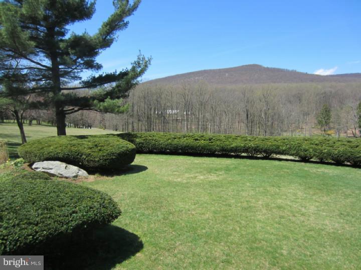309 Blue Rocks Road Lenhartsville, PA 19534 - Photo 24 of 24 View