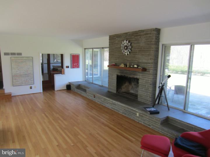 309 Blue Rocks Road Lenhartsville, PA 19534 - Photo 8 of 24 Fireplace