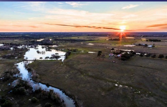 36067 Repka Road Waller, TX 77484 - Photo 6 of 9 a view of a yard