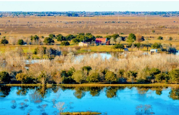 36067 Repka Road Waller, TX 77484 - Photo 8 of 9 a view of a lake with boats and trees in the background