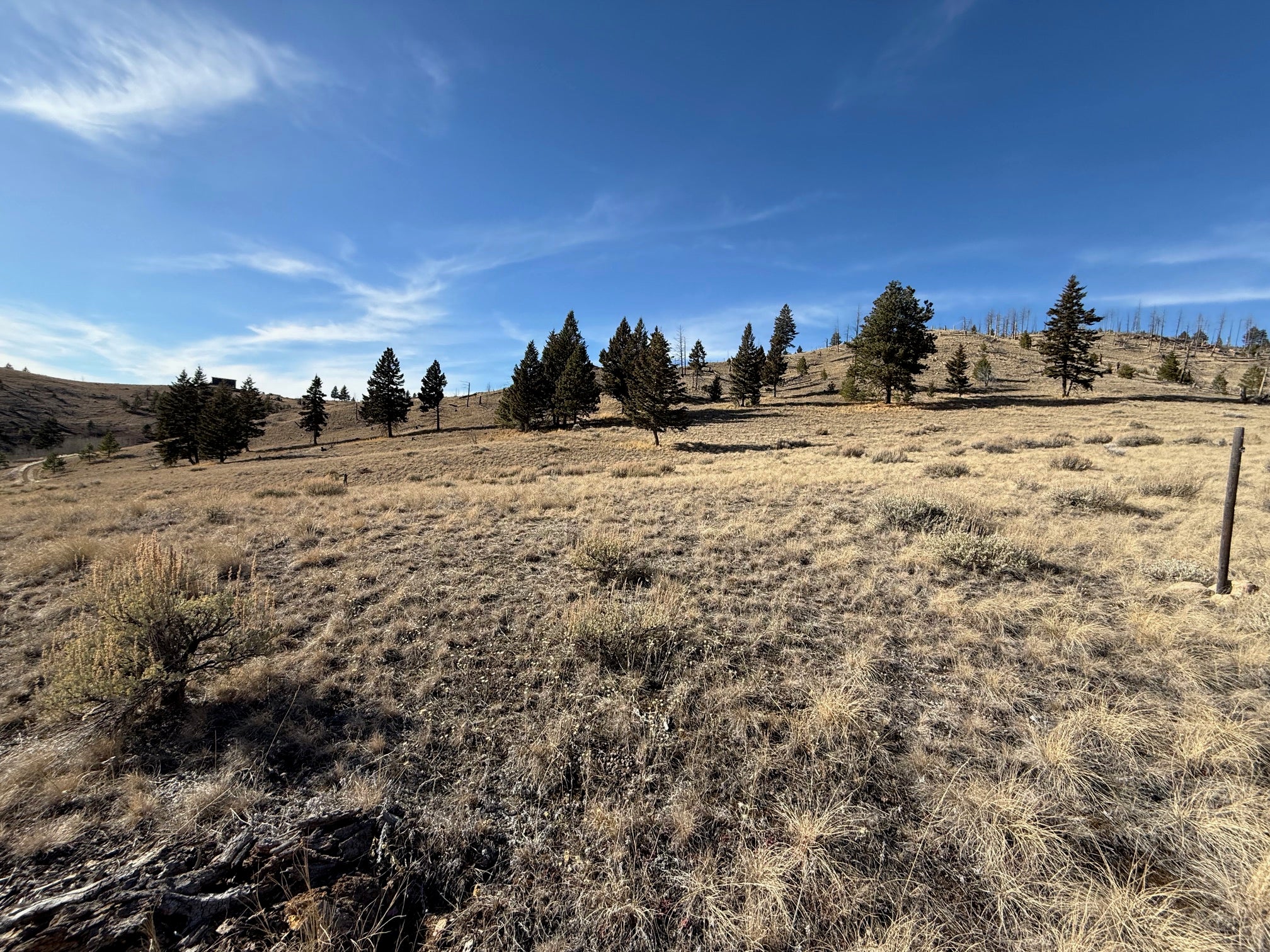 83 Nursery Creek Road Boulder, MT 59632 - Photo 32 of 62 Gallery Image 32