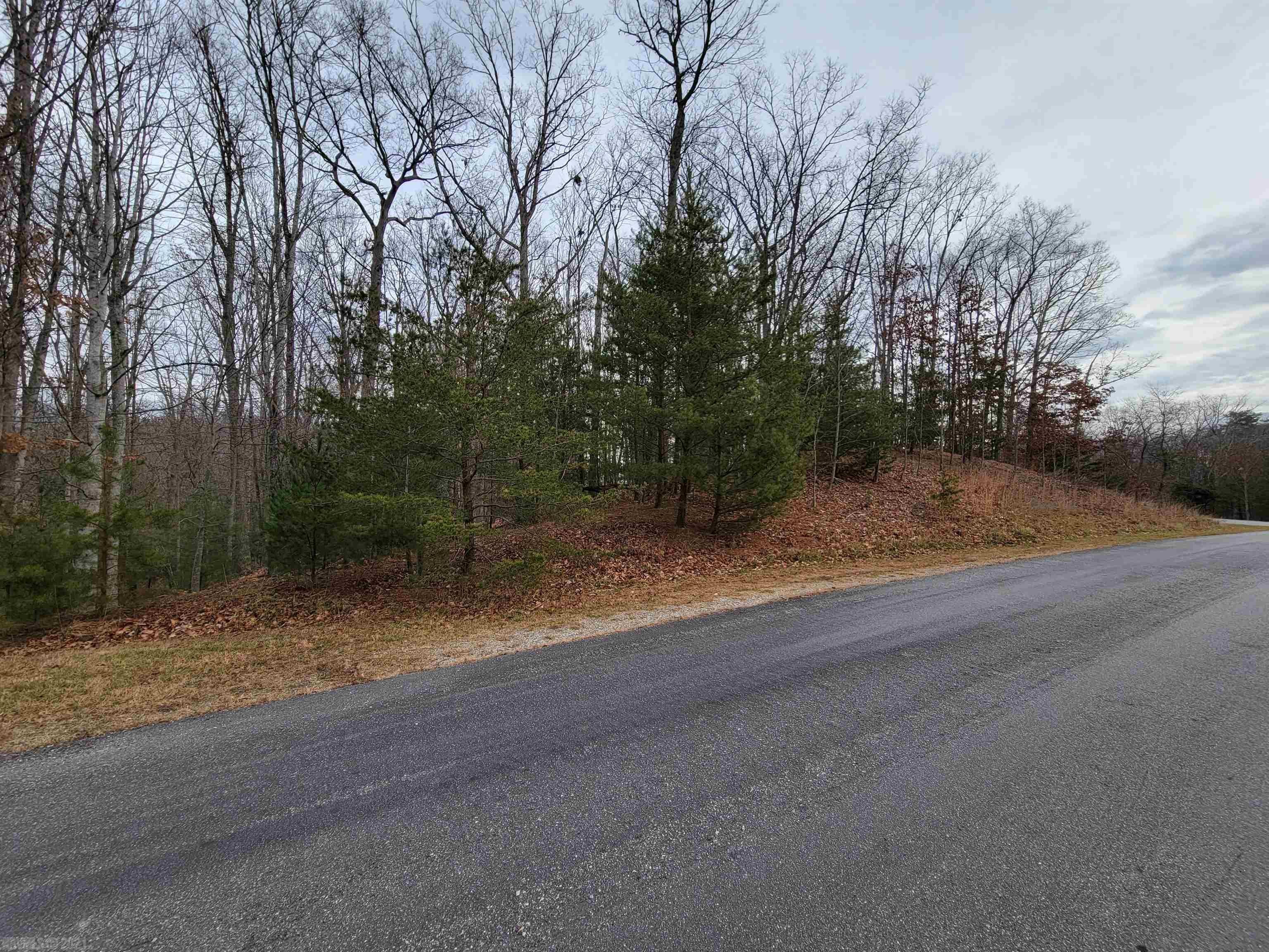 1051 Treetop Ridge Road Blacksburg, VA 24060 - Photo 3 of 10 Gallery Image 3