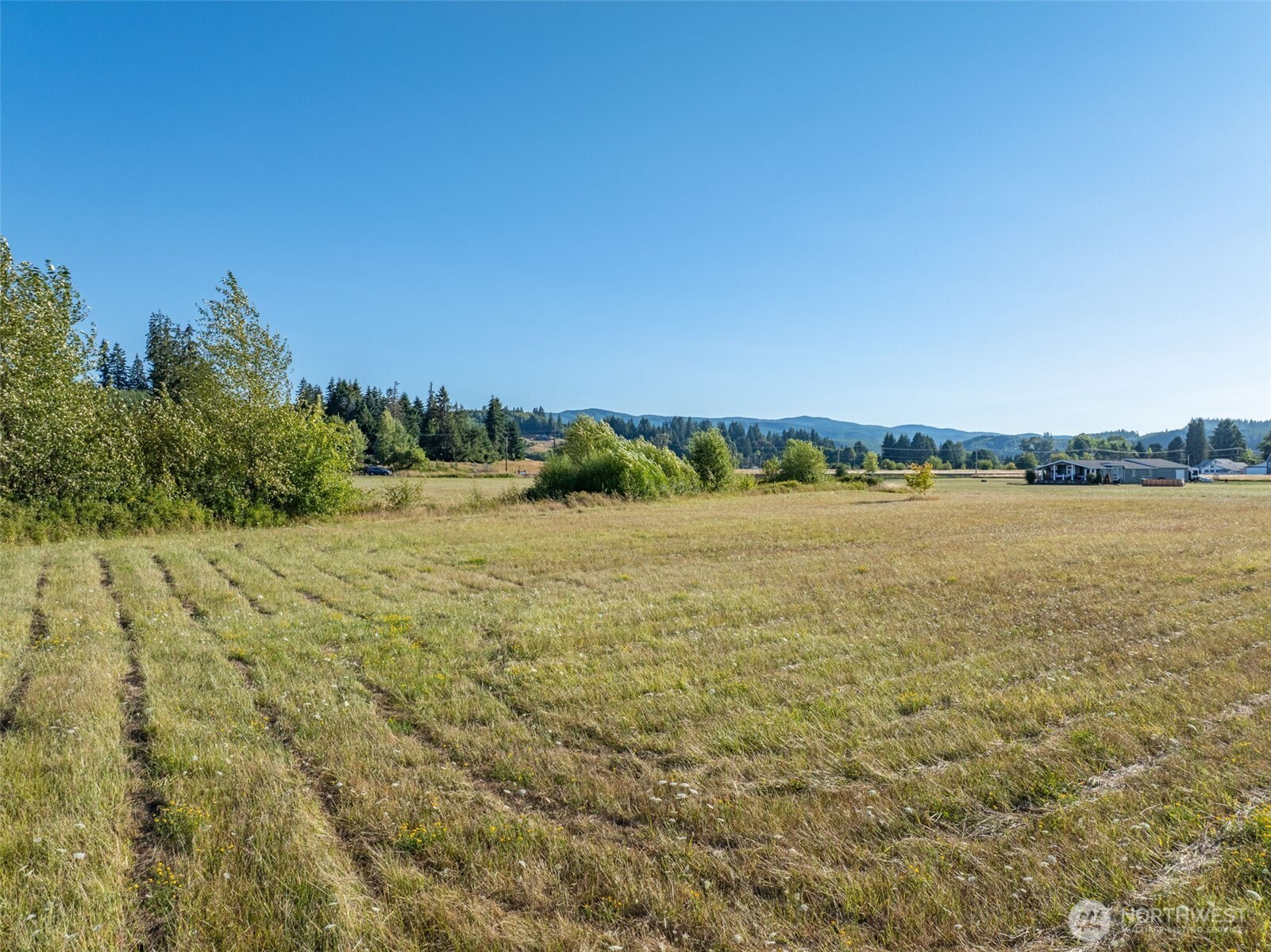 785 Pe Ell McDonald Road Chehalis, WA 98532 - Photo 23 of 29 Gallery Image 23