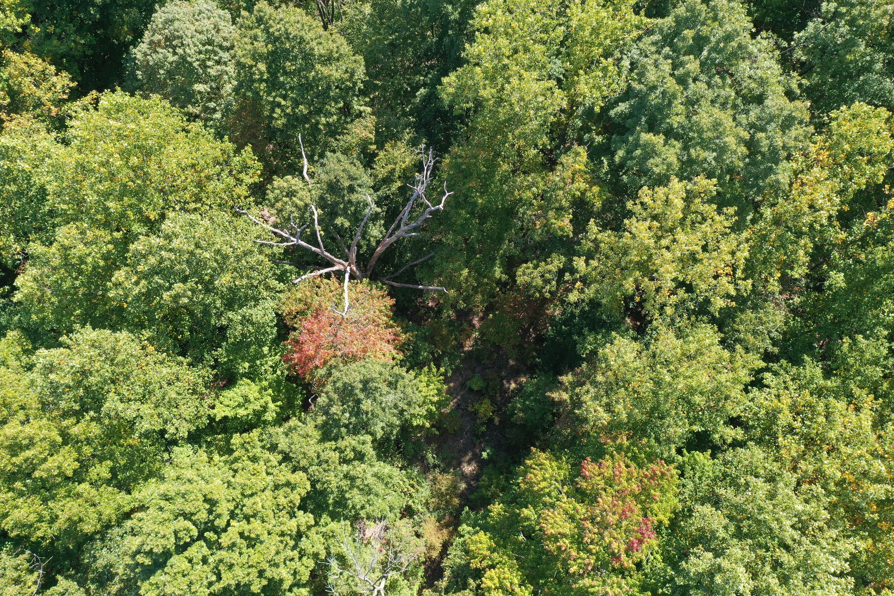 4511 Lanam Ridge Road Nashville, IN 47448 - Photo 9 of 22 Gallery Image 9