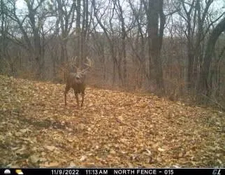 $1,300,000 | V Road, Weston, MO 64098