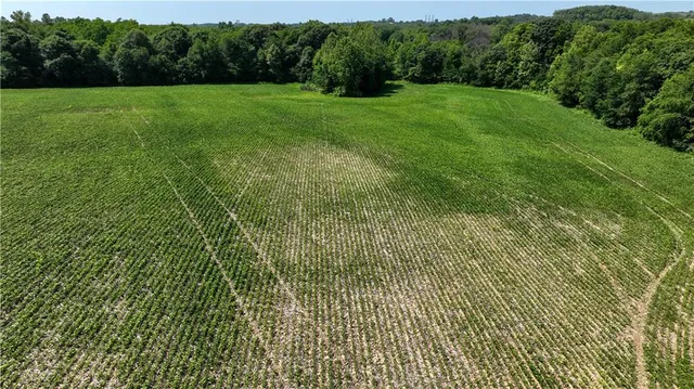 $1,300,000 | V Road, Weston, MO 64098