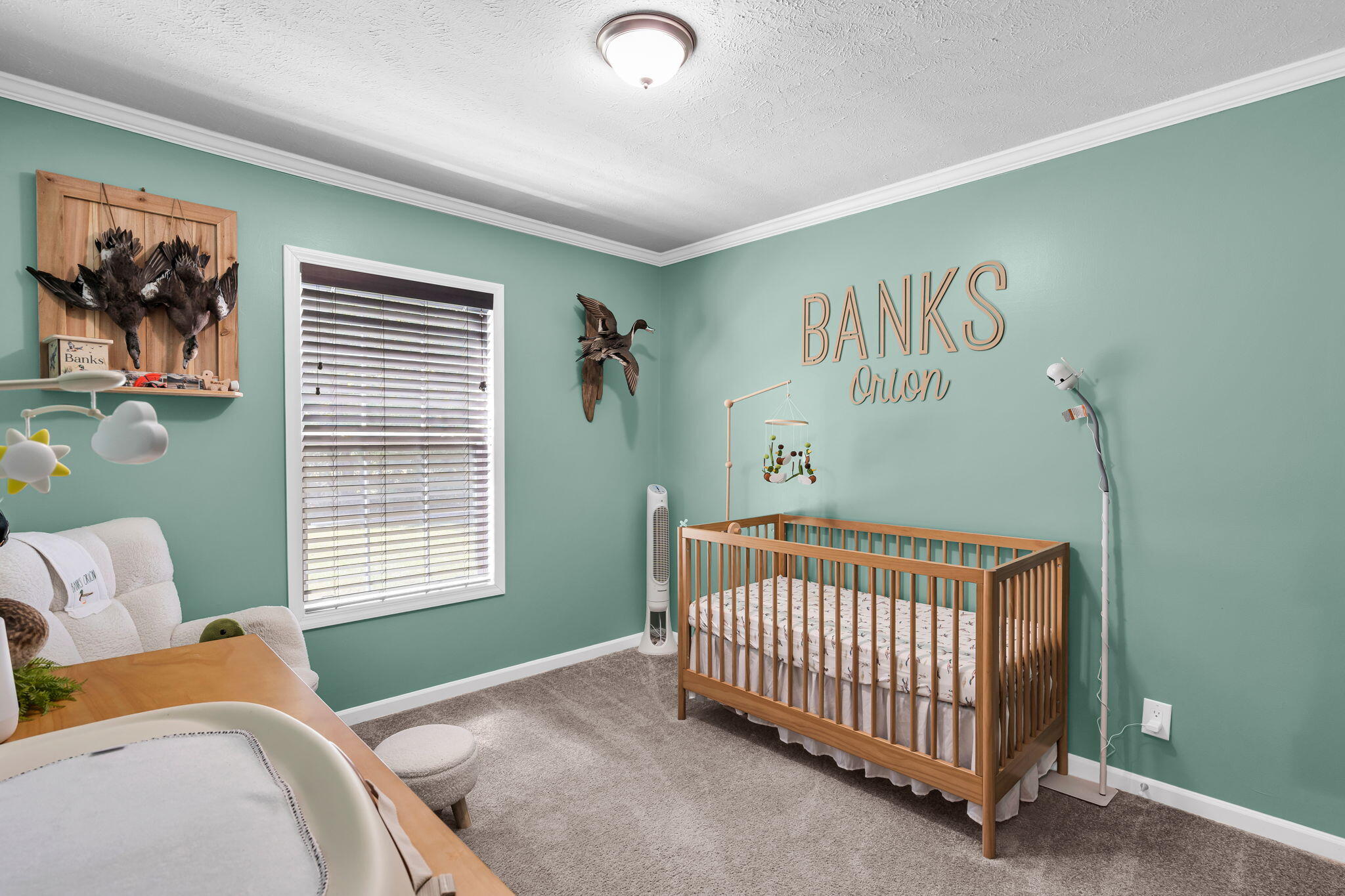 164 Riva Ridge Lane Round O, SC 29474 - Photo 29 of 46 BabysRoom