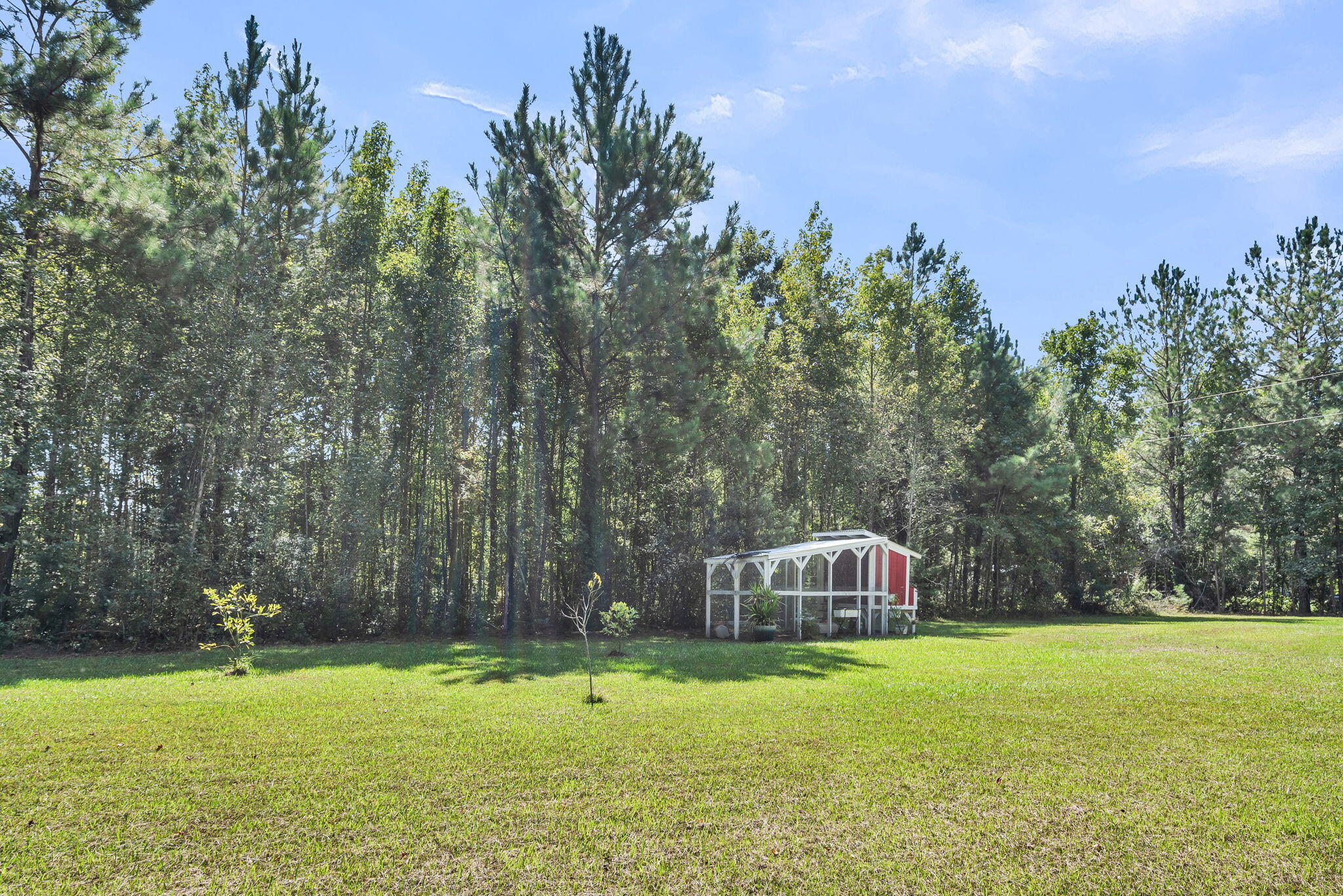 164 Riva Ridge Lane Round O, SC 29474 - Photo 38 of 46 Chicken Coop!