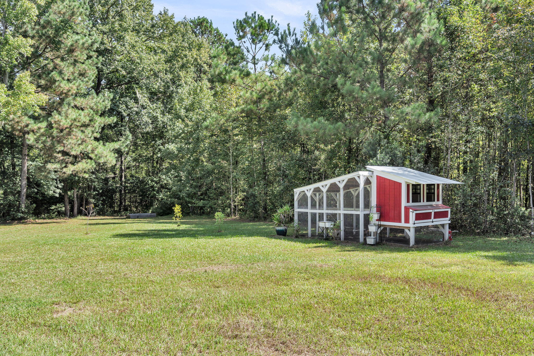164 Riva Ridge Lane Round O, SC 29474 - Photo 39 of 46 Chicken Coop2