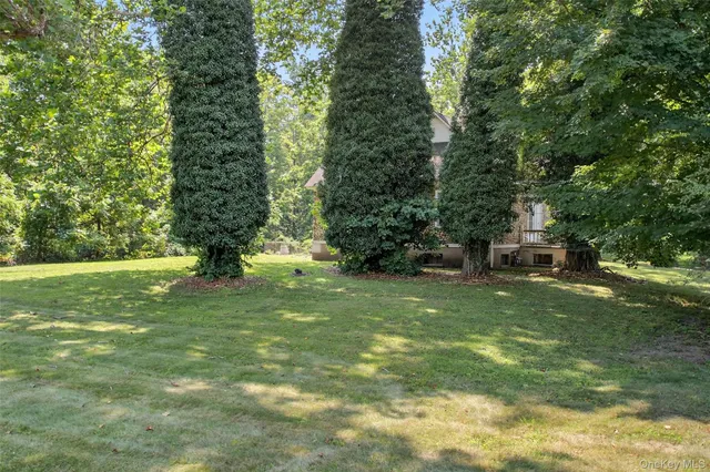 a view of a trees in a yard