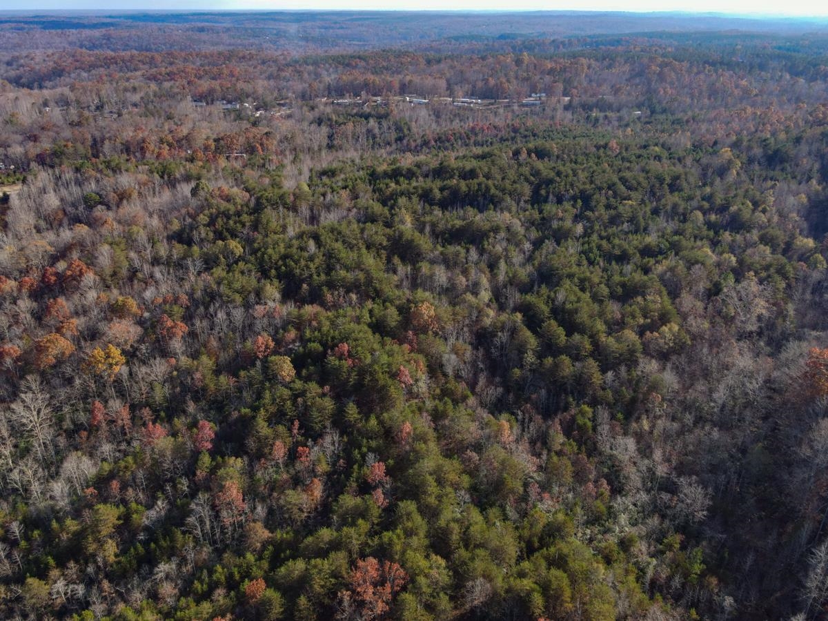 Burnt Mill Blacksburg, SC 29702 - Photo 11 of 33