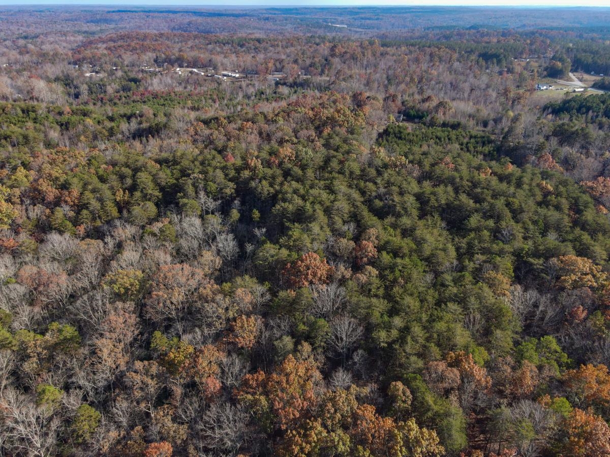 Burnt Mill Blacksburg, SC 29702 - Photo 12 of 33
