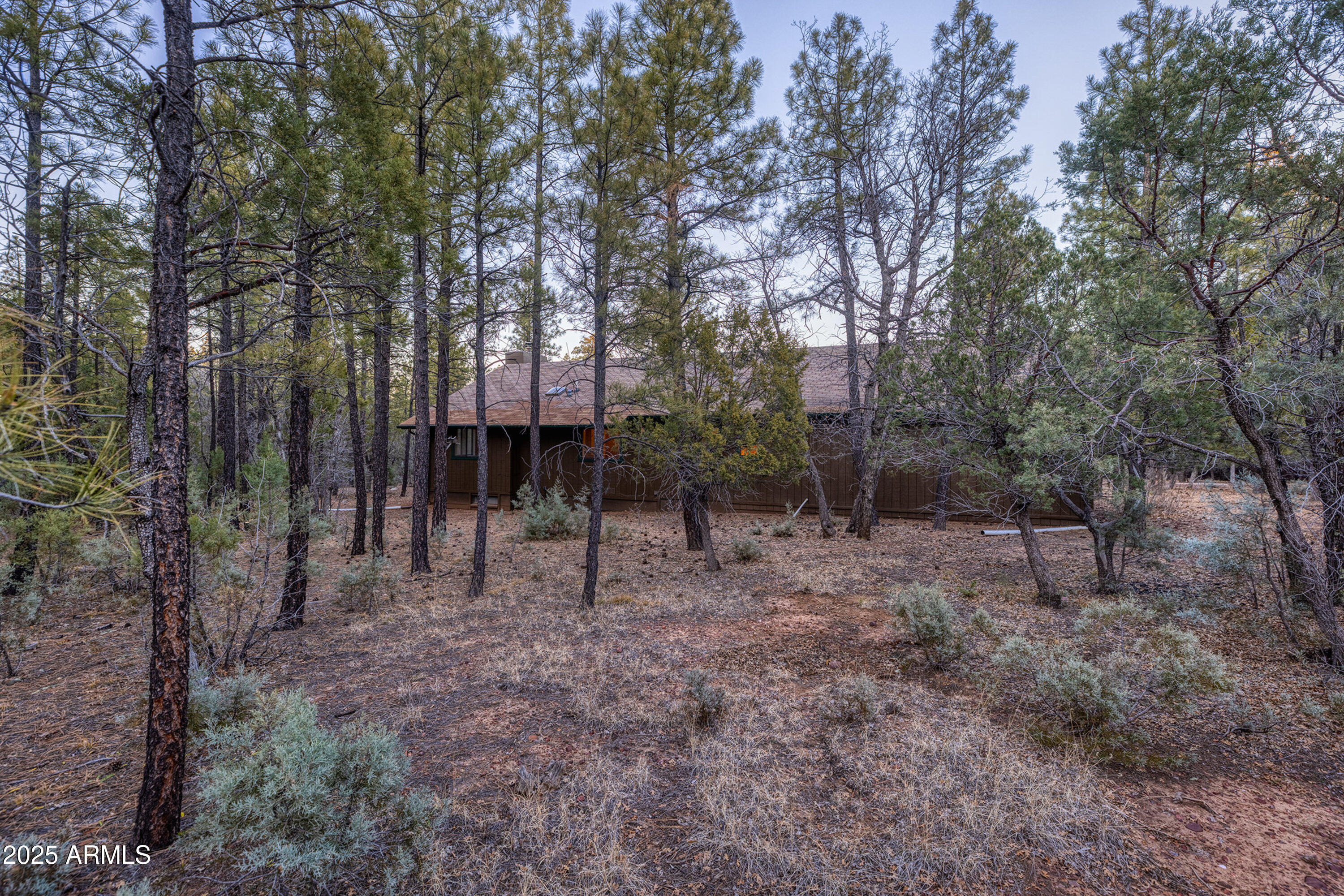 3400 Goodwill Lane Lakeside, AZ 85929 - Photo 5 of 43 011_3400_goodwill_ln