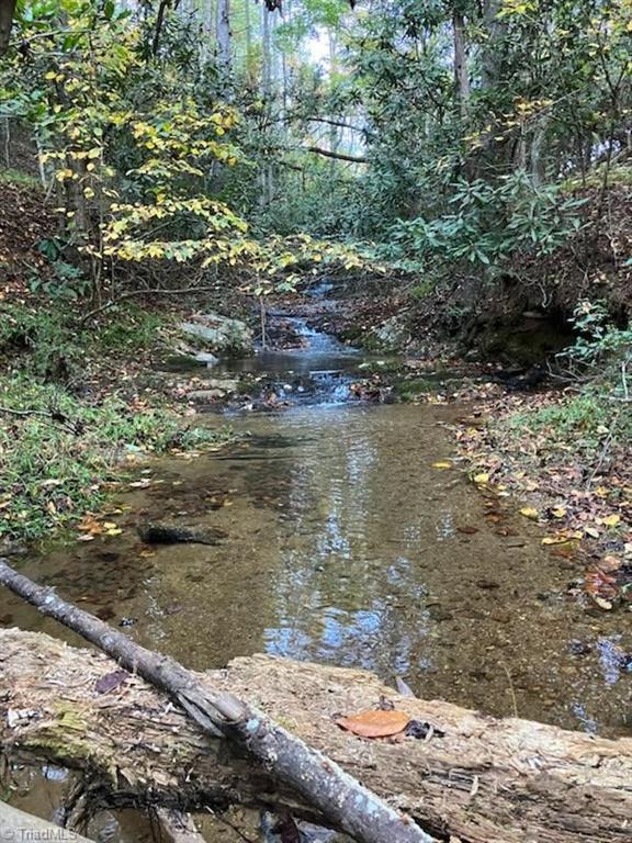 0 Byrd Ridge Road North Wilkesboro, NC 28659 - Photo 4 of 6