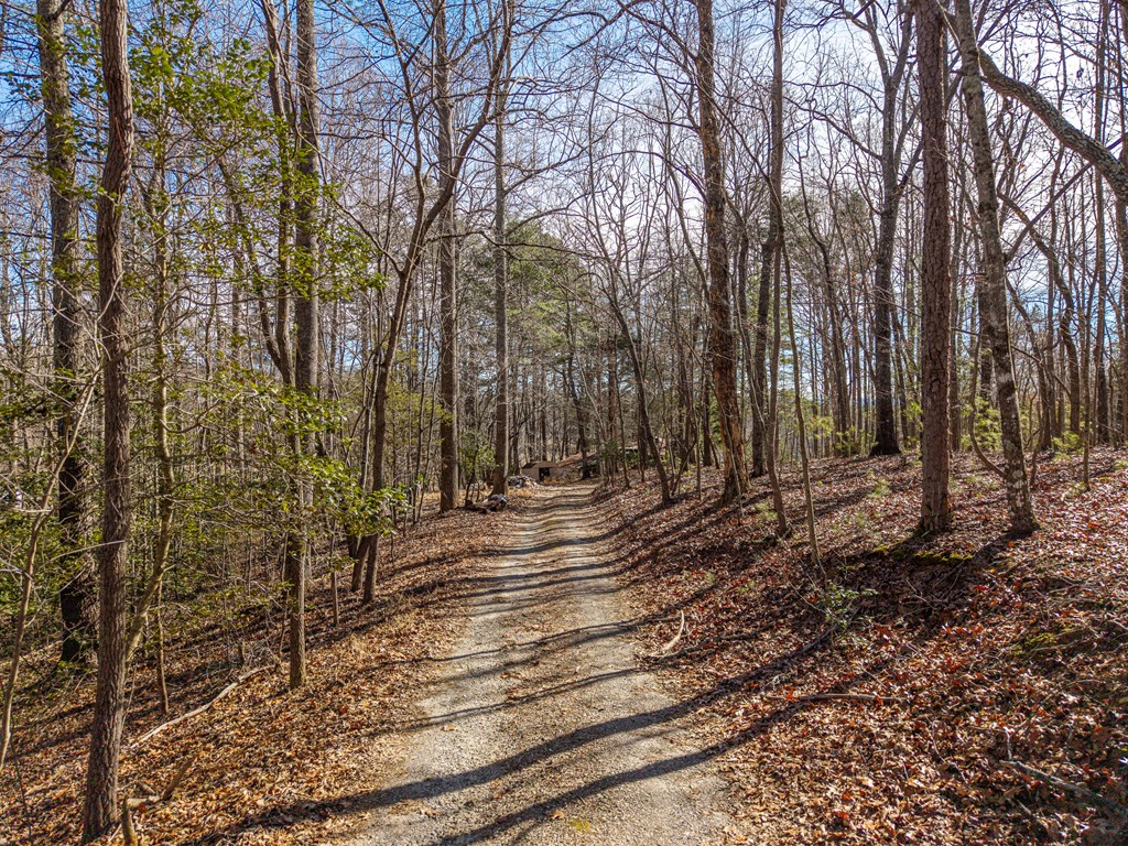 155 Becky Road Blairsville, GA 30512 - Photo 7 of 26 Gallery Image 7