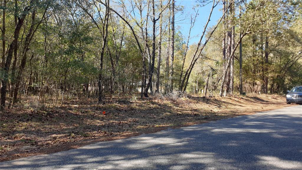 Tbd Southwest 73rd Loop Dunnellon, FL 34432 - Photo 1 of 1 Gallery Image 1