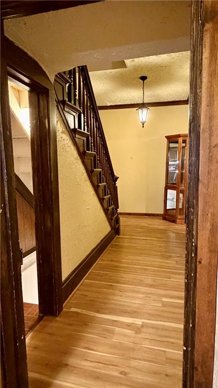 1425 Freeport Road Cheswick, PA 15024 - Photo 24 of 45 CENTER HALLWAY WITH ENTRY TO BASEMENT LEVEL ON LEFT AND STAIRWAY TO UPPER LEVEL.