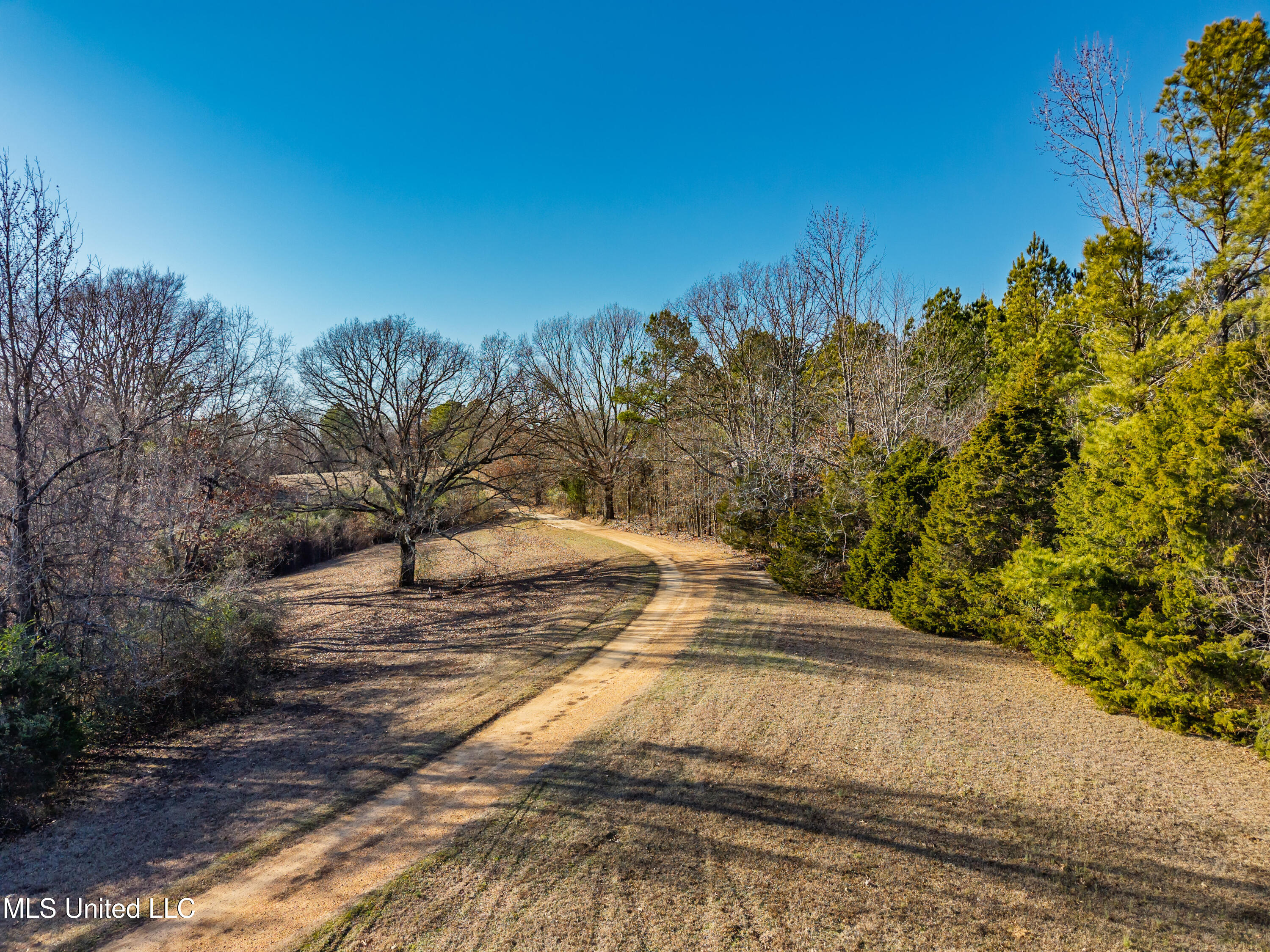 8088 Pope Crowder Road Pope, MS 38658 - Photo 15 of 82 8088 Pope Crowder Rd Pope MS_2026-01-20_