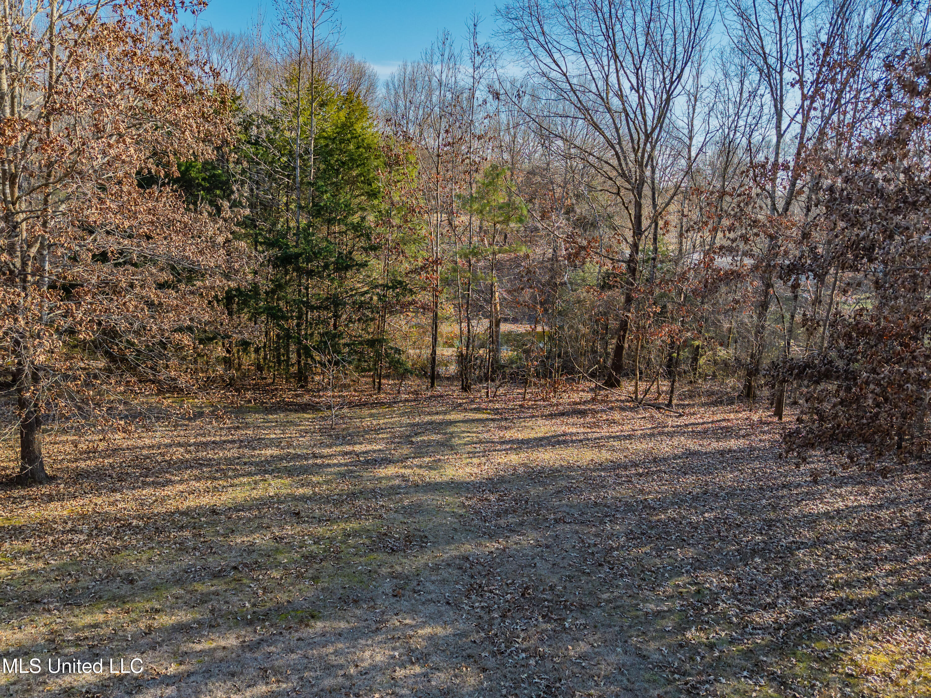 8088 Pope Crowder Road Pope, MS 38658 - Photo 24 of 82 8088 Pope Crowder Rd Pope MS_2026-01-20_