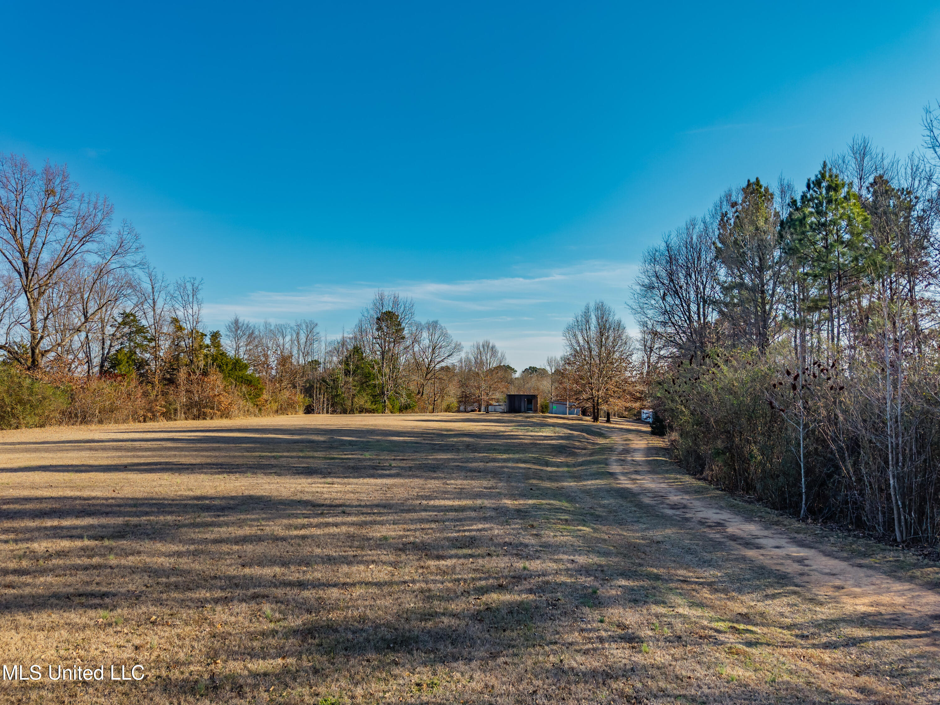 8088 Pope Crowder Road Pope, MS 38658 - Photo 29 of 82 8088 Pope Crowder Rd Pope MS_2026-01-20_