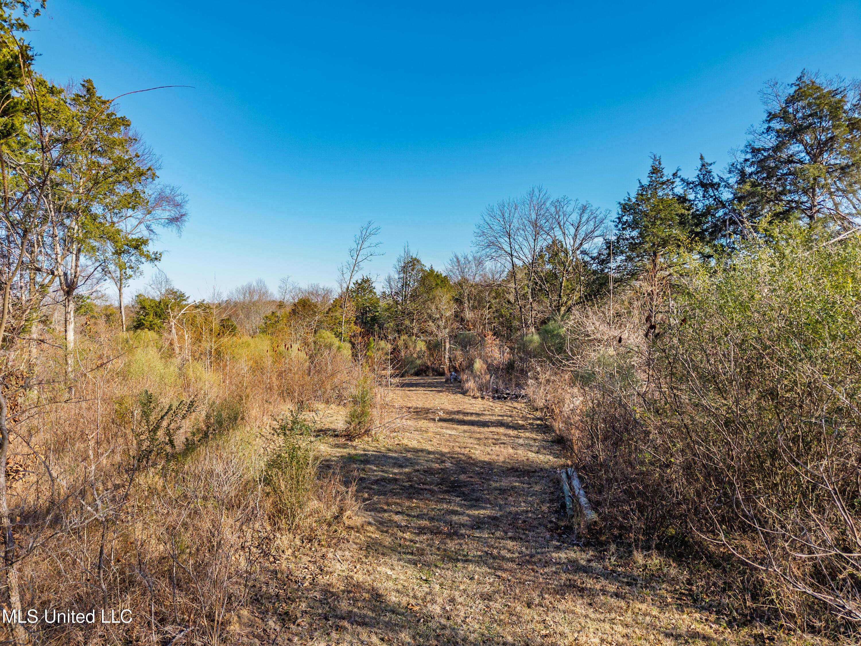 8088 Pope Crowder Road Pope, MS 38658 - Photo 6 of 82 8088 Pope Crowder Rd Pope MS_2026-01-20_