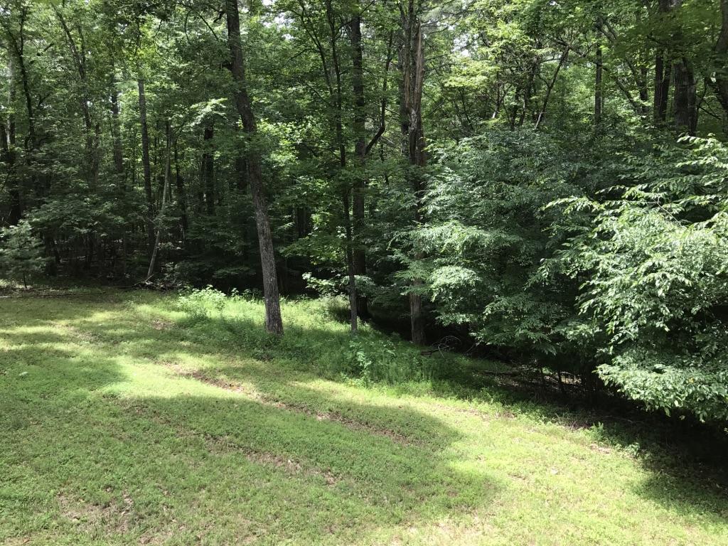 5277 Edwardsville Road Hardy, VA 24101 - Photo 16 of 18 16 Back yard