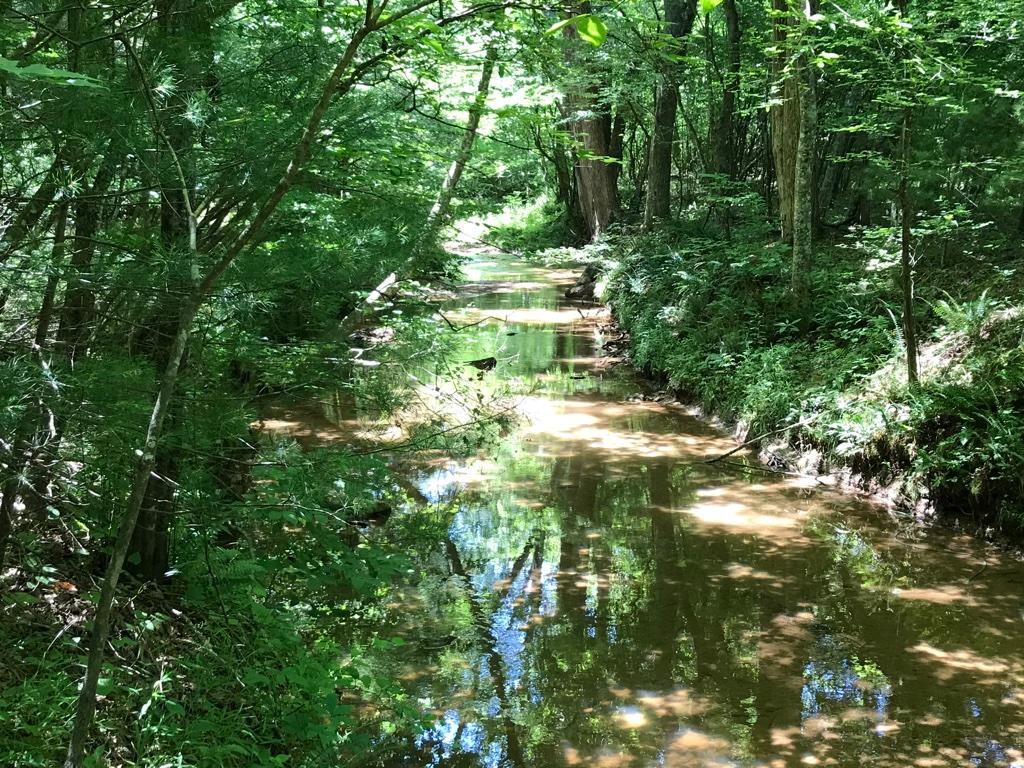 5277 Edwardsville Road Hardy, VA 24101 - Photo 17 of 18 17 Creek
