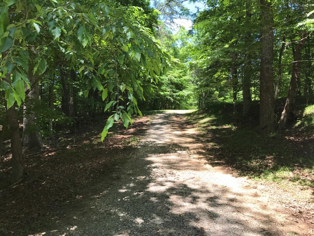 5277 Edwardsville Road Hardy, VA 24101 - Photo 18 of 18 18 Driveway