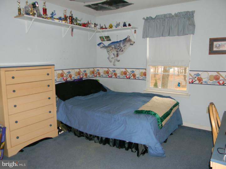 117 Oak Leaf Road Sicklerville, NJ 08081 - Photo 18 of 20