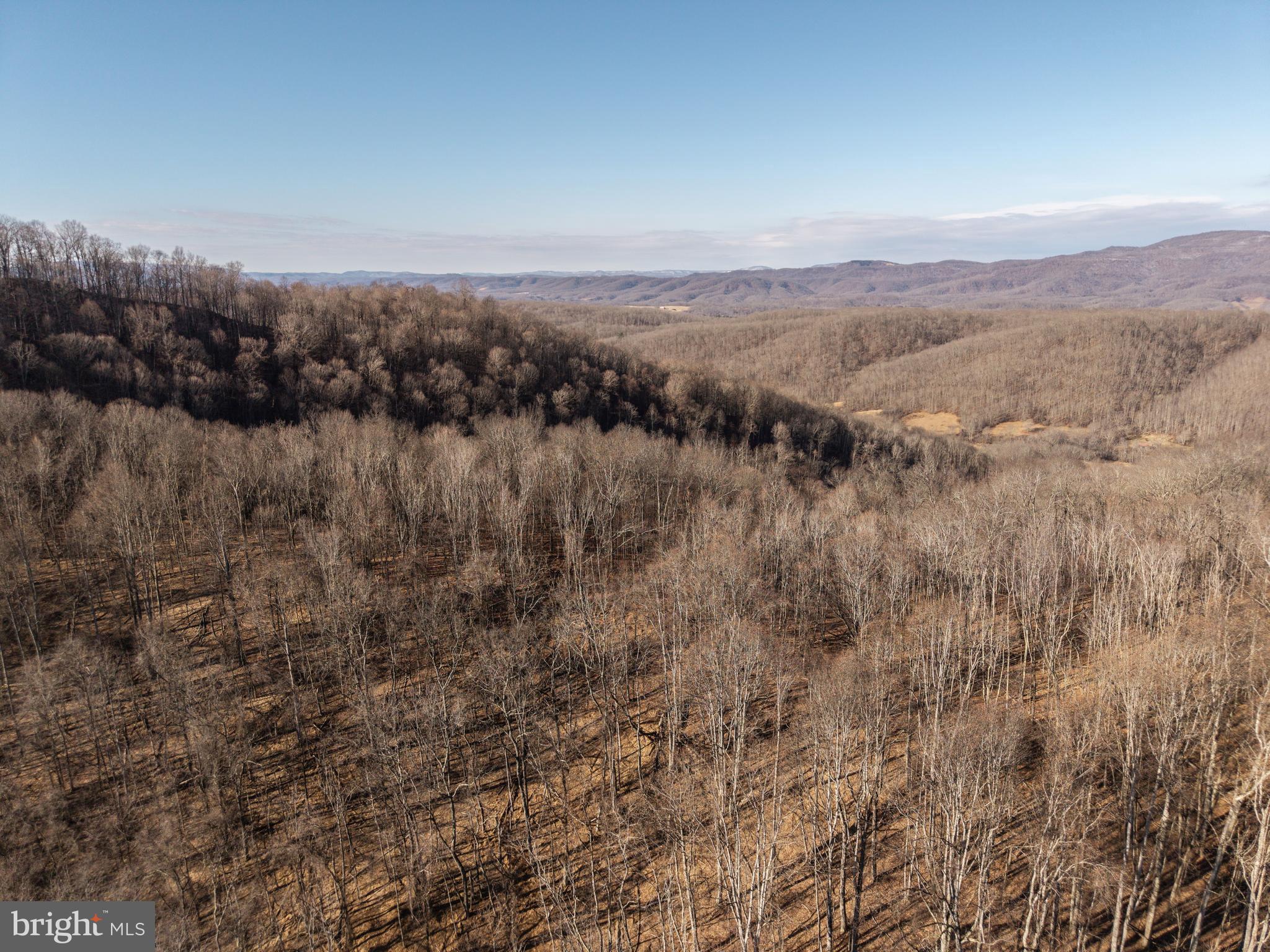0 Raders Valley Road Williamsburg, WV 24991 - Photo 12 of 50 a view of mountains in middle of forest