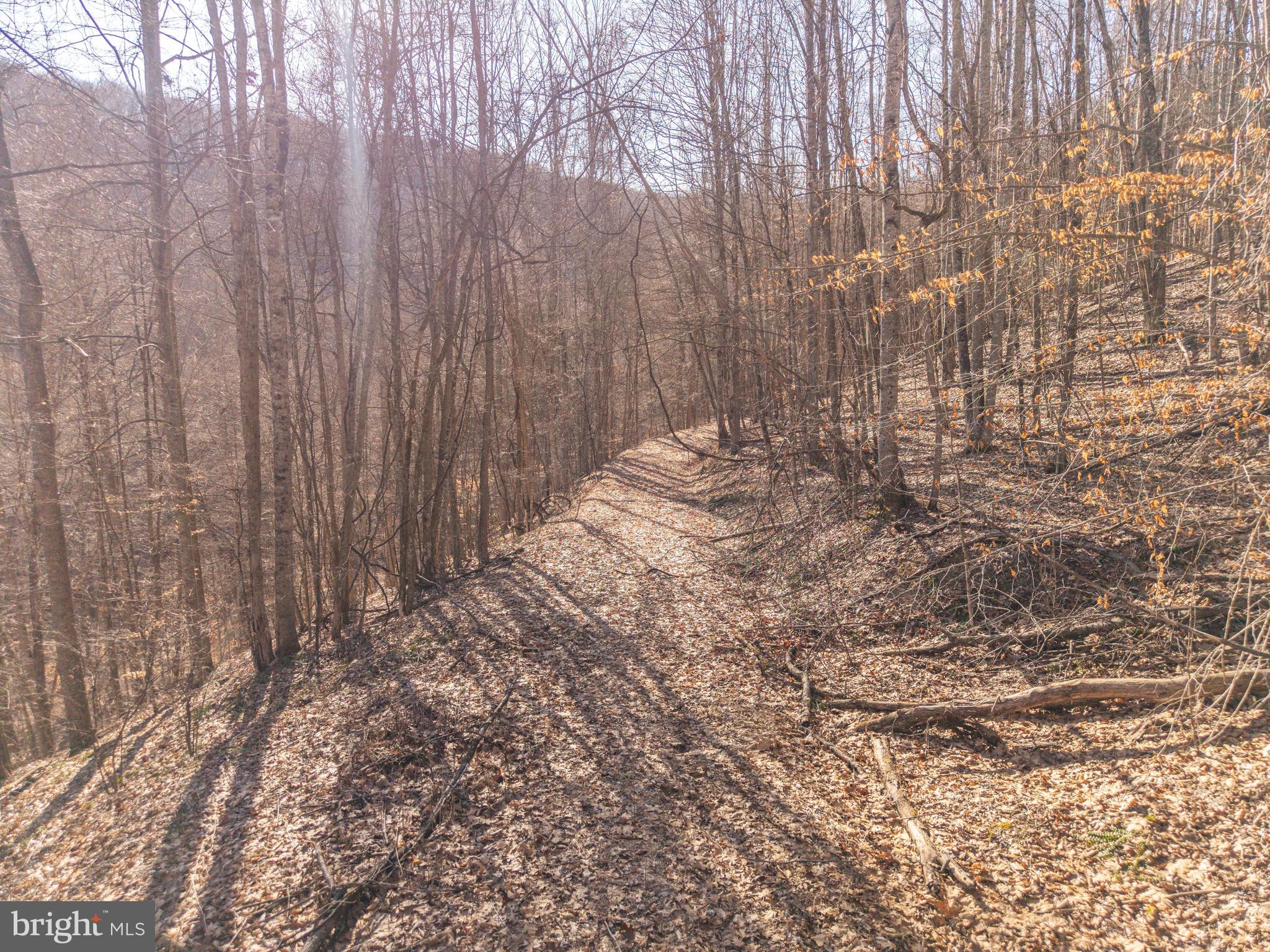 0 Raders Valley Road Williamsburg, WV 24991 - Photo 20 of 50 a view of small yard