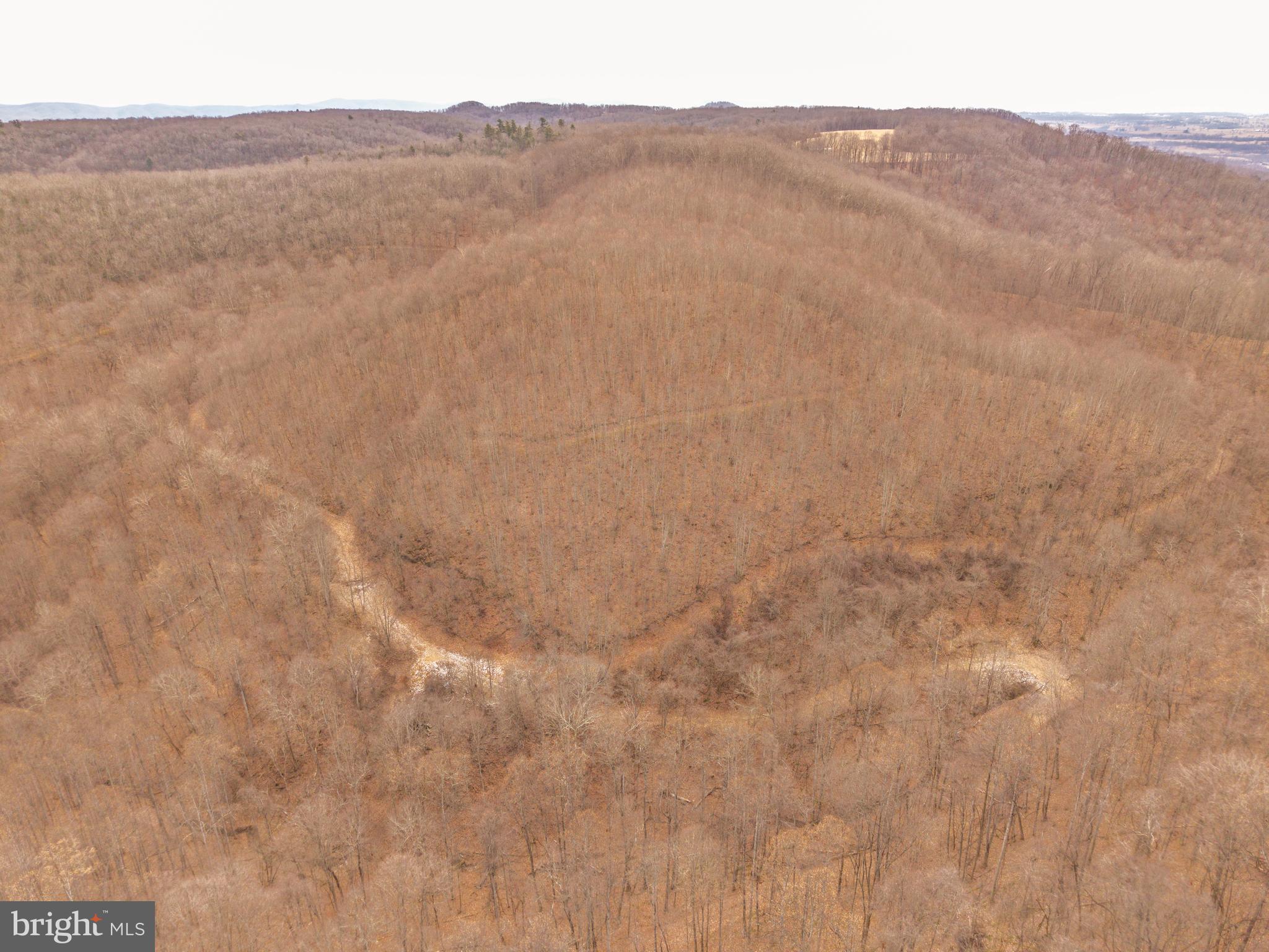 0 Raders Valley Road Williamsburg, WV 24991 - Photo 2 of 50 a view of a dry yard with mountains in the background
