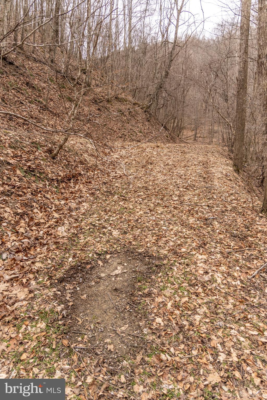 0 Raders Valley Road Williamsburg, WV 24991 - Photo 21 of 50 a view of empty space and a yard