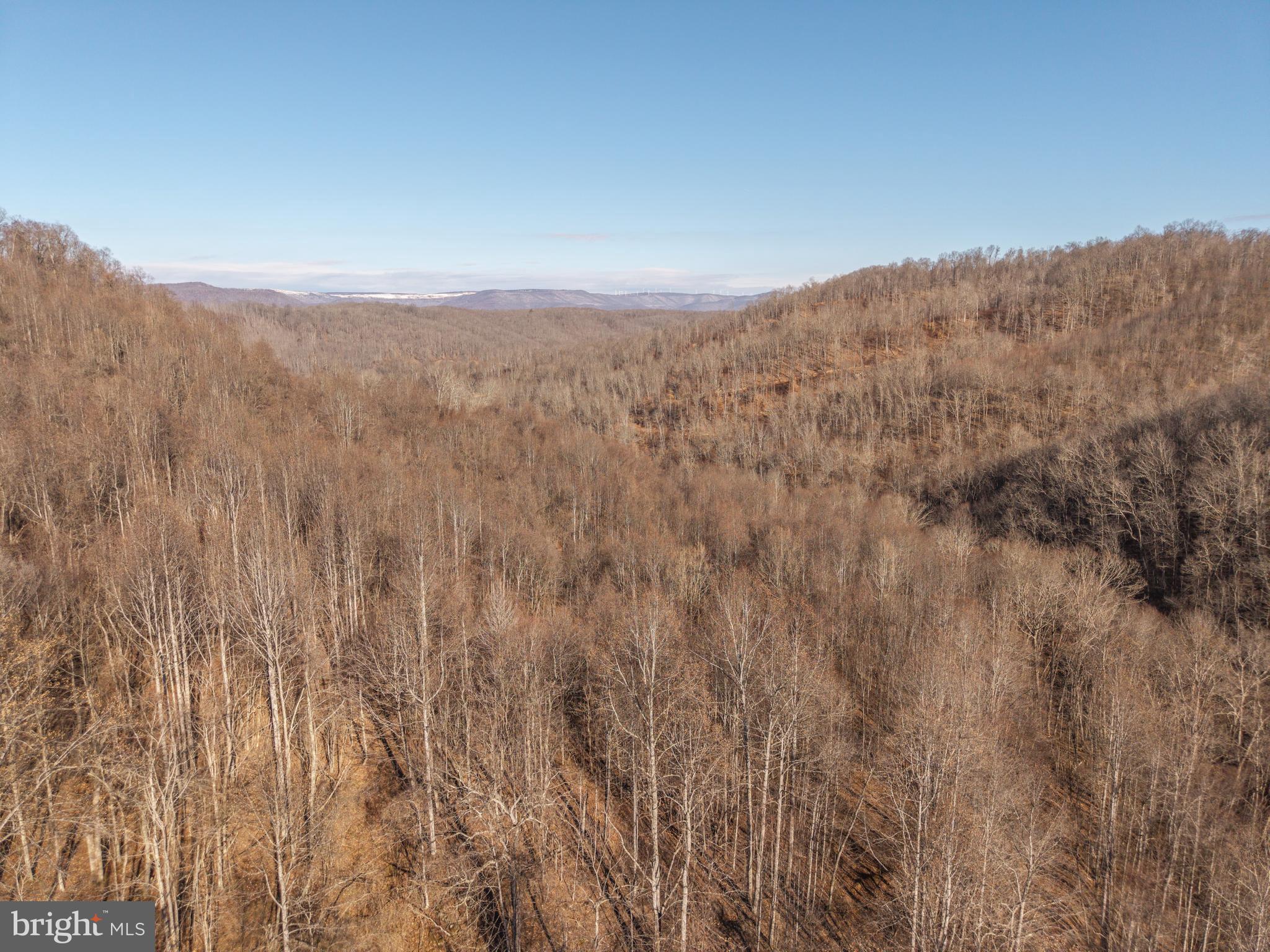 0 Raders Valley Road Williamsburg, WV 24991 - Photo 23 of 50 a view of a dry yard