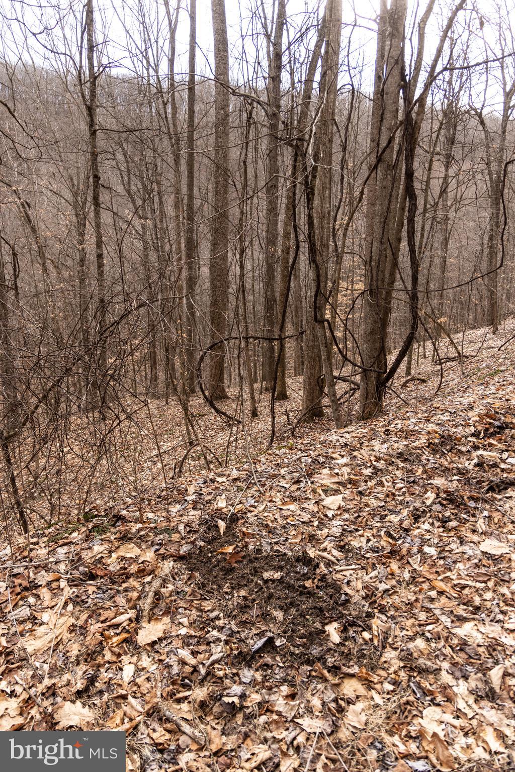 0 Raders Valley Road Williamsburg, WV 24991 - Photo 24 of 50 a view of wooden fence of a building
