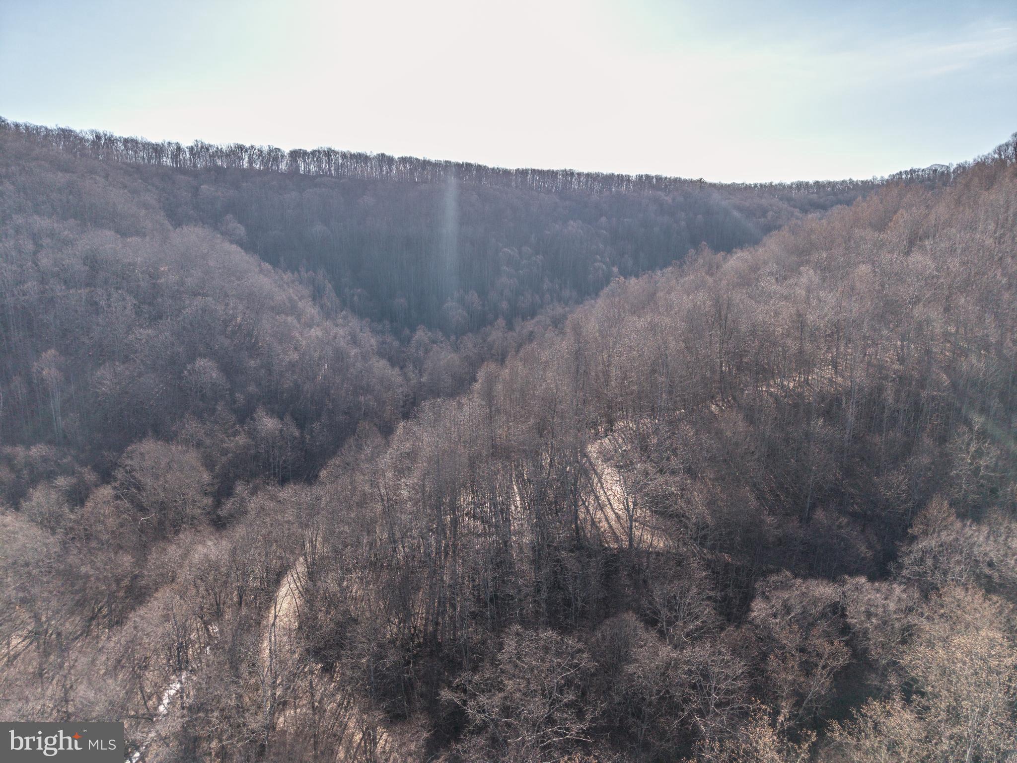 0 Raders Valley Road Williamsburg, WV 24991 - Photo 25 of 50 a view of a dry yard
