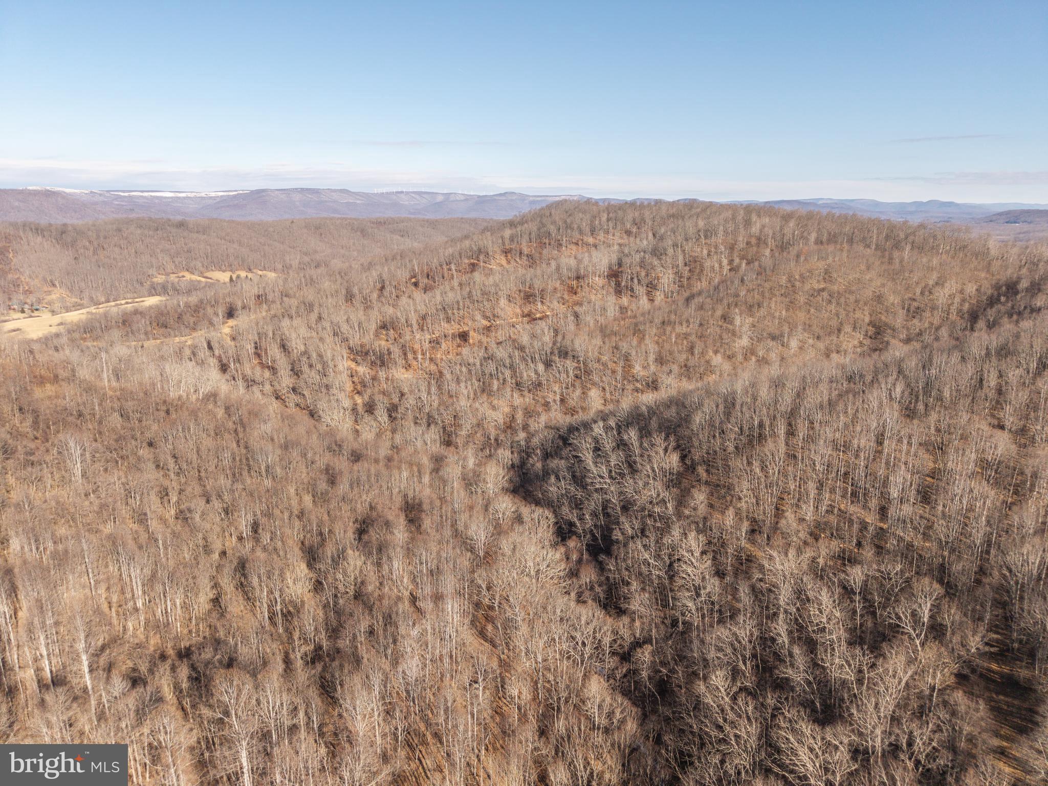 0 Raders Valley Road Williamsburg, WV 24991 - Photo 26 of 50