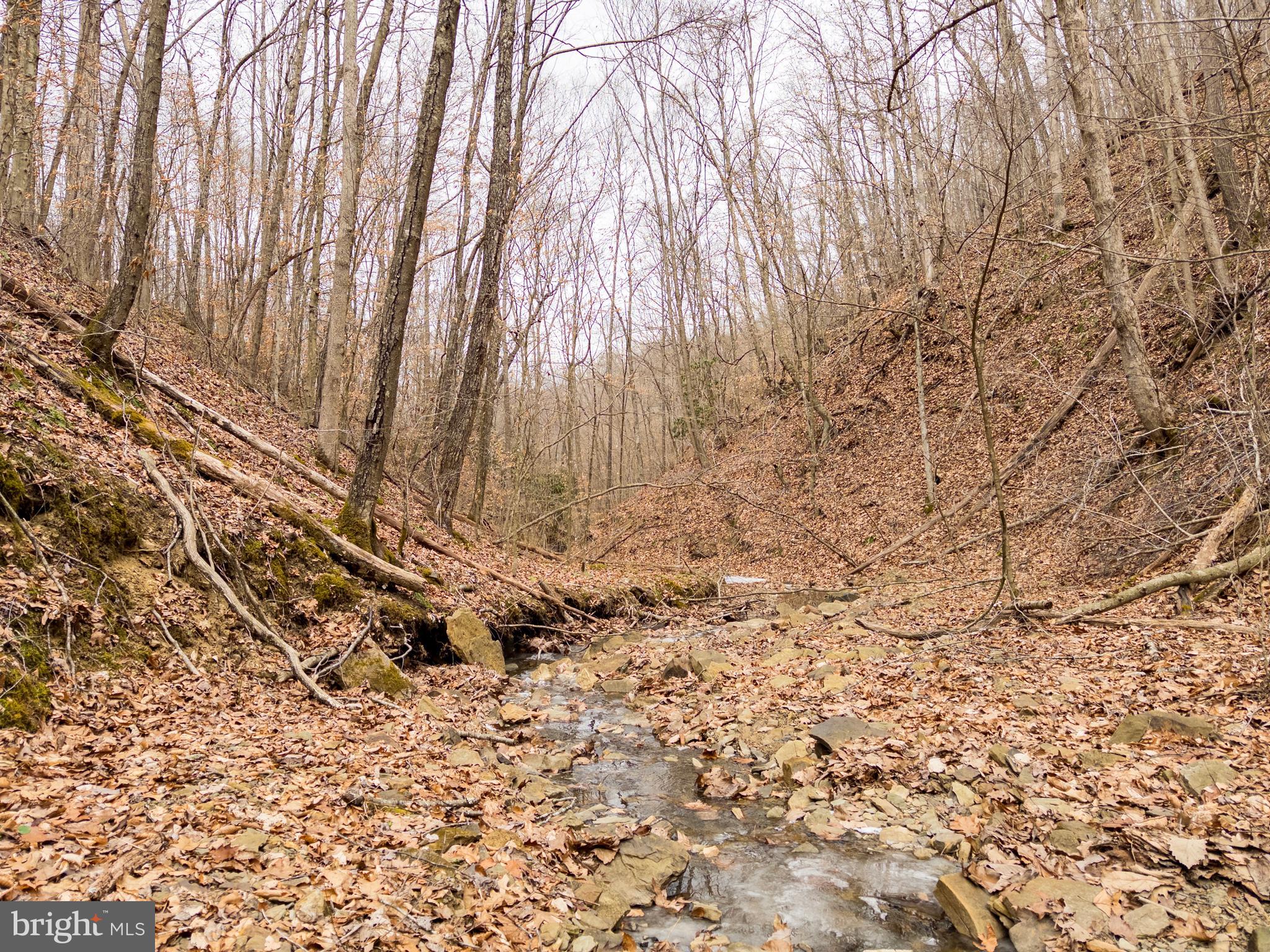 0 Raders Valley Road Williamsburg, WV 24991 - Photo 29 of 50 a view of a yard with trees