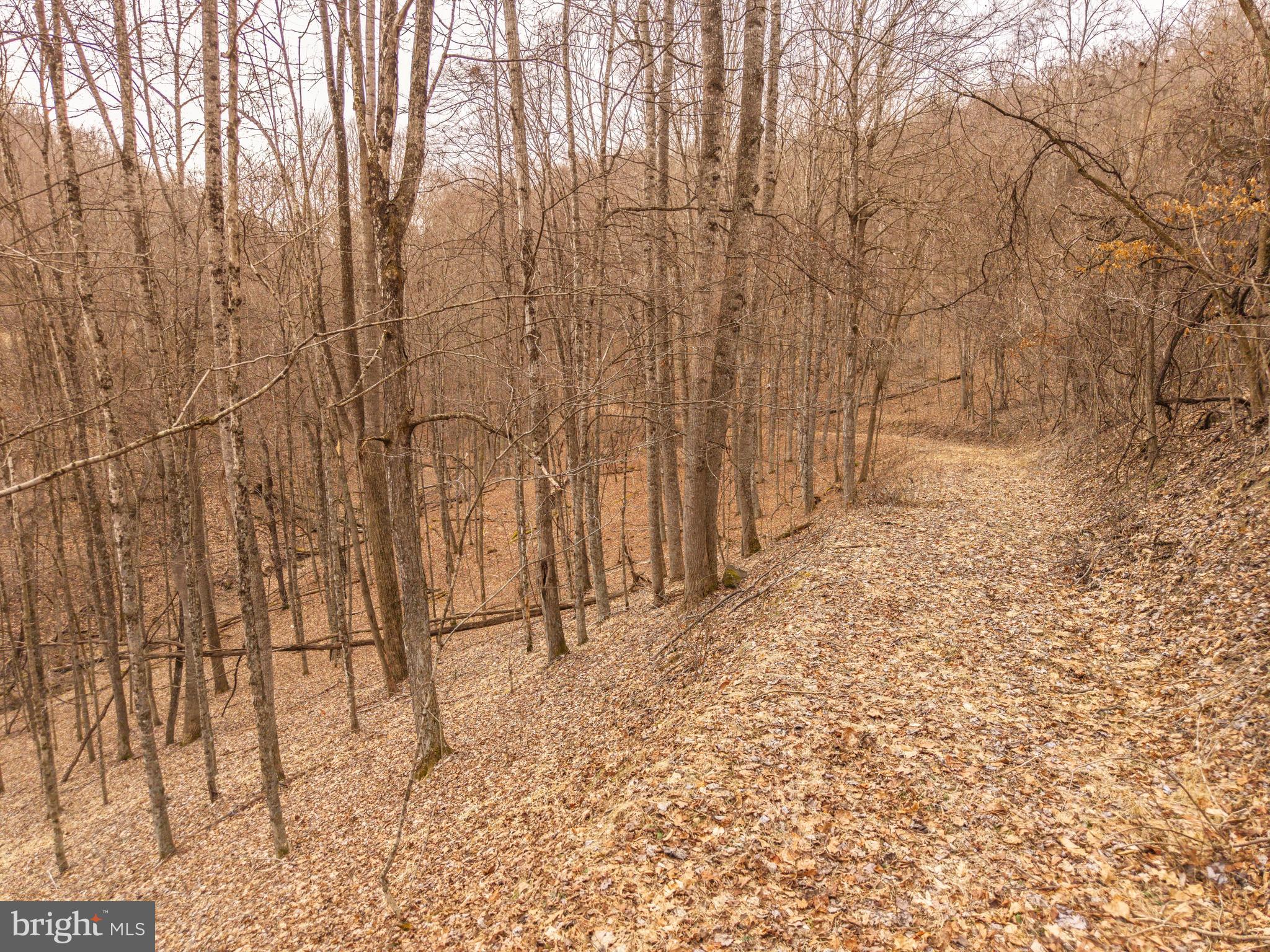 0 Raders Valley Road Williamsburg, WV 24991 - Photo 41 of 50 a view of wooden fence