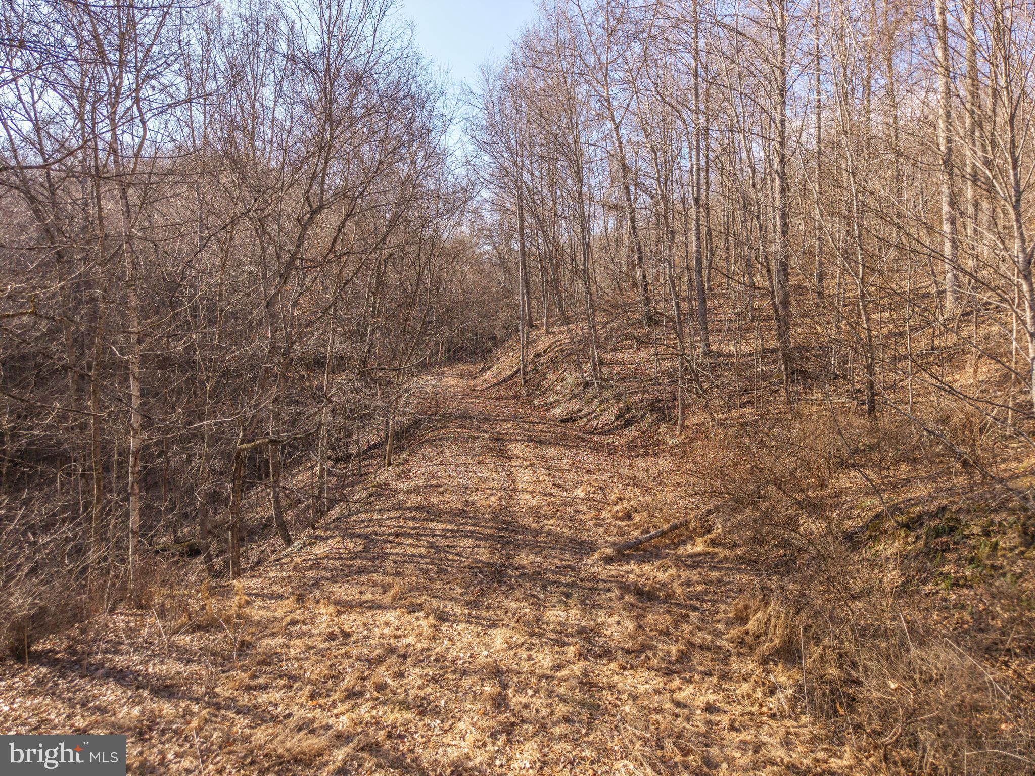 0 Raders Valley Road Williamsburg, WV 24991 - Photo 46 of 50 a view of a yard with trees