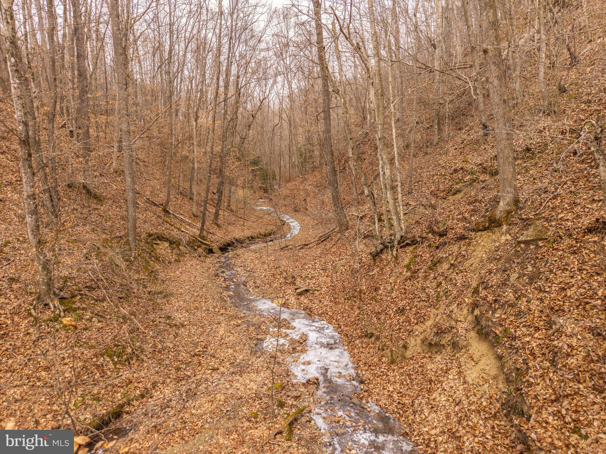 0 Raders Valley Road Williamsburg, WV 24991 - Photo 5 of 50