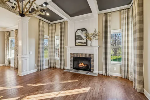 a living room with a fireplace and a potted plant