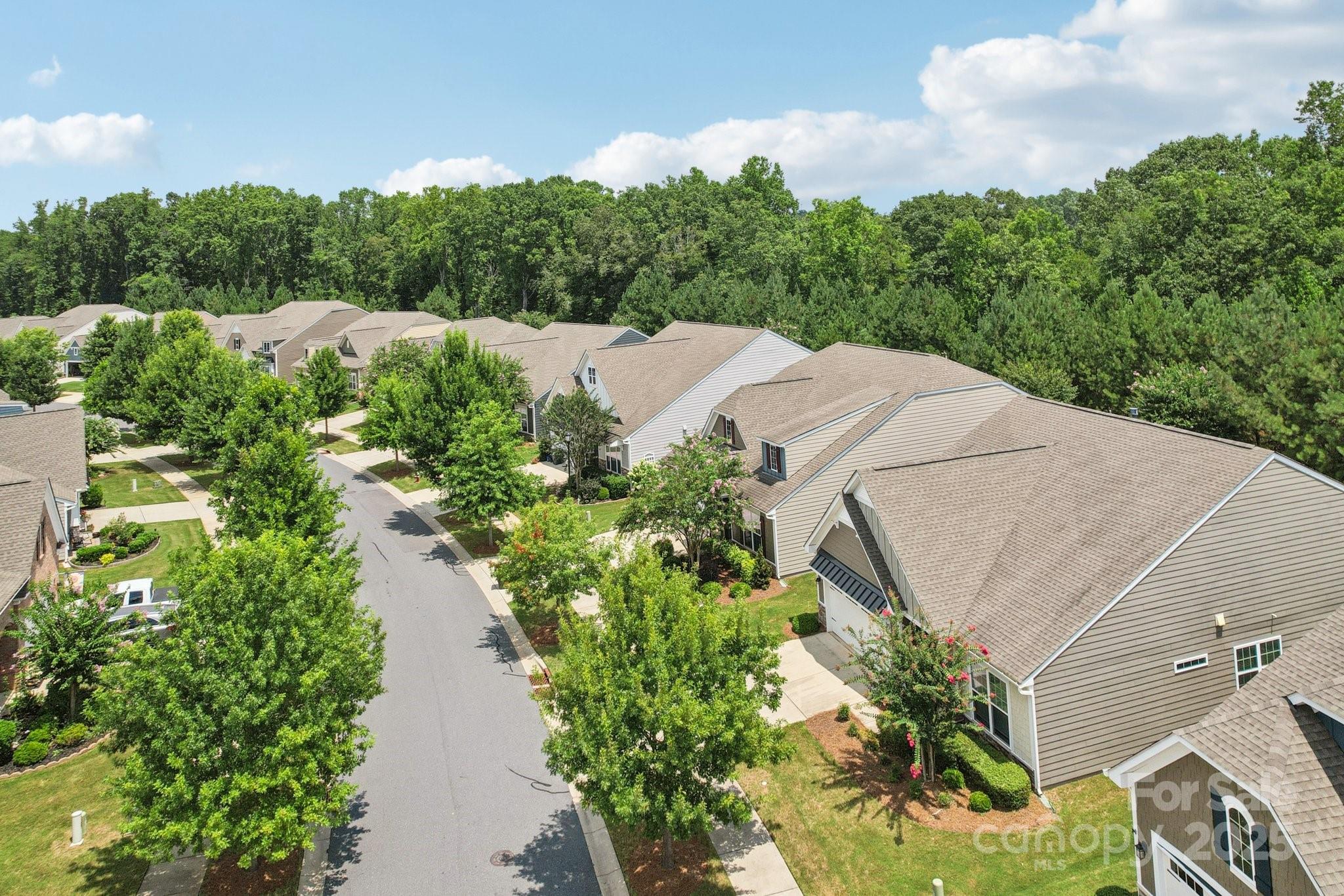 8058 Asher Chase Trail Lancaster, SC 29720 - Photo 32 of 48 an aerial view of a house with mountain view